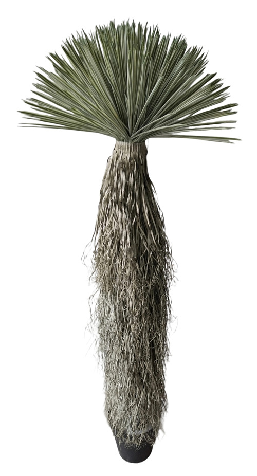 304001736409-galerias el triunfo