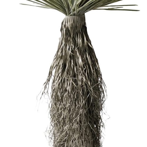 304001736412-galerias el triunfo