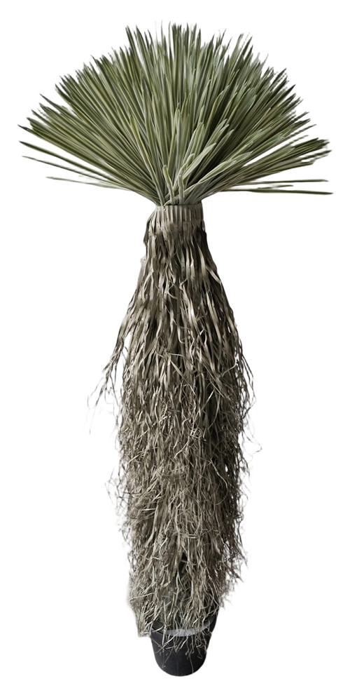 304001736412-galerias el triunfo