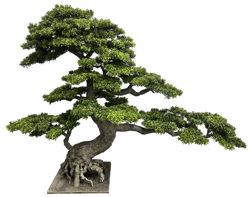 304001736413-galerias el triunfo