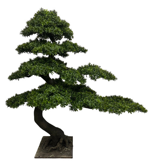 304001736414-galerias el triunfo