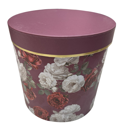 304001736625-galerias el triunfo