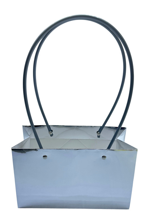 305001736209-galerias el triunfo