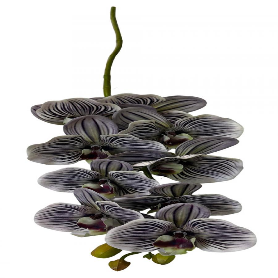 305001736401-galerias el triunfo