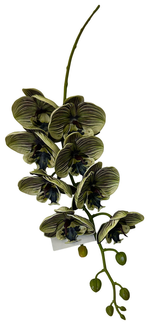 305001736402-galerias el triunfo