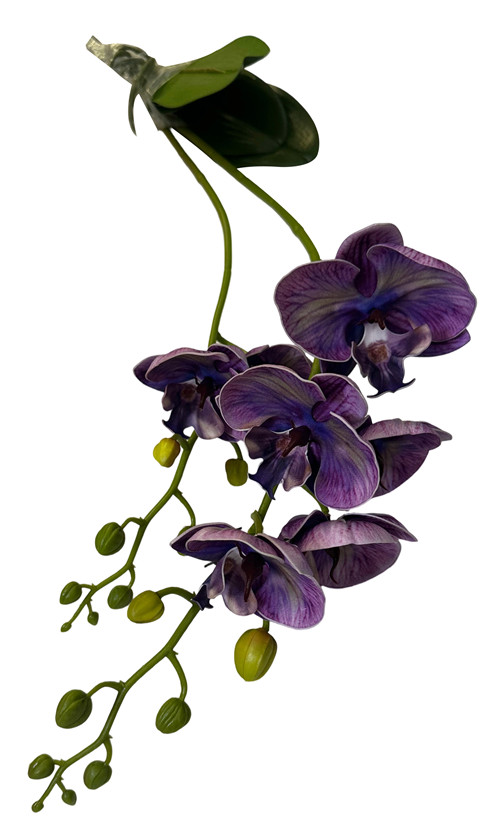 305001736403-galerias el triunfo