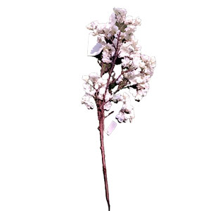 Vara de flor - Galerías el Triunfo - 022032494001