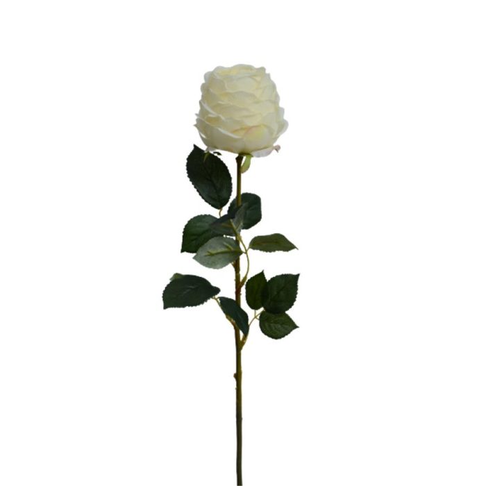 Vara de flor blanca - Galerías el Triunfo - 022032494013