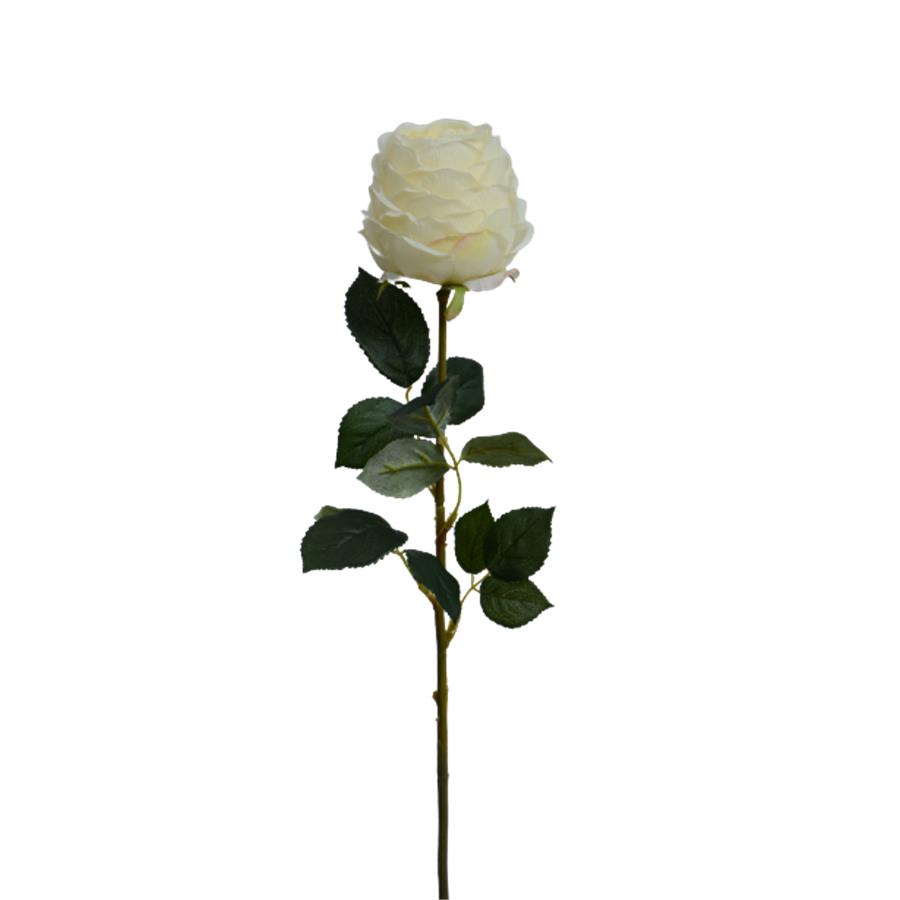 Vara de flor blanca - Galerías el Triunfo - 022032494013