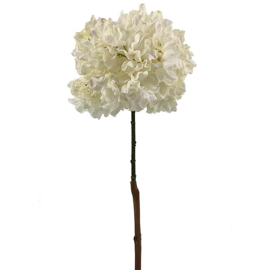 Vara de hortensia blanca - Galerías el Triunfo - 022032494029