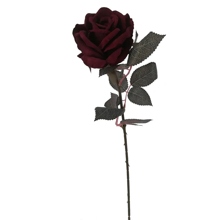 Vara de rosa vino - Galerías el Triunfo - 022032494036