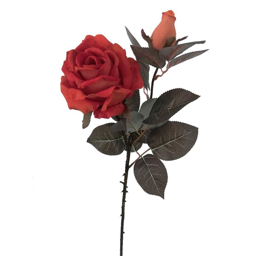 Vara de rosa - Galerías el Triunfo - 022032494042