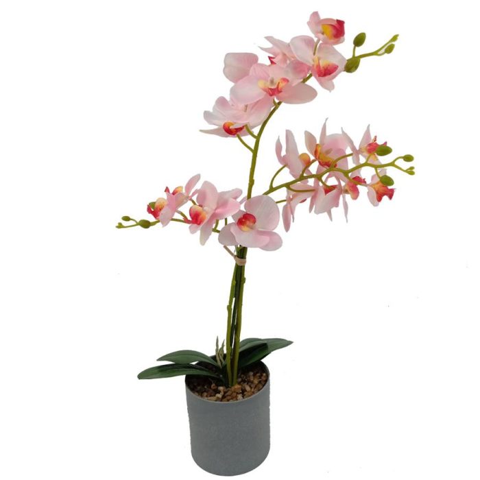 Flor de orquídea rosa - Galerías el Triunfo - 022032494057