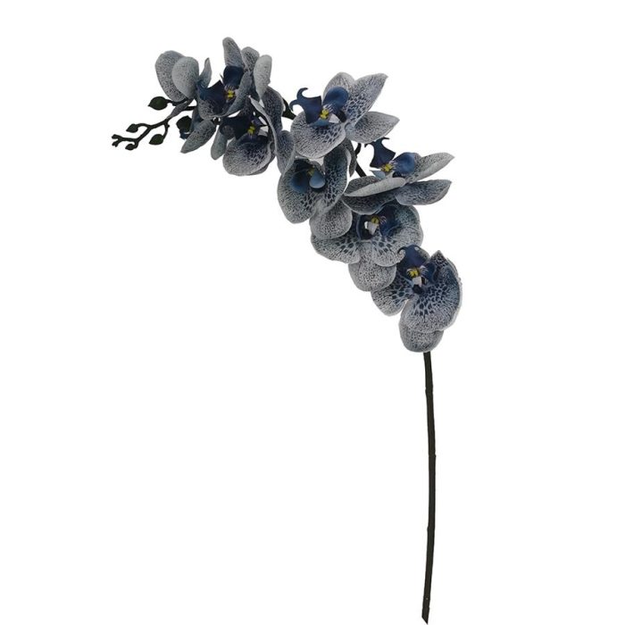 Vara de orquídea azul - Galerías el Triunfo - 022032494064