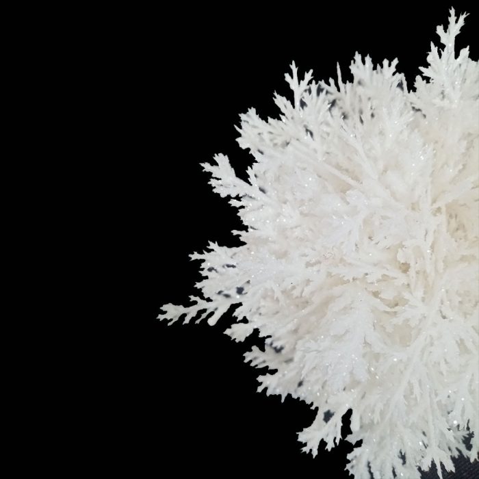 Bola de follaje - Image 3