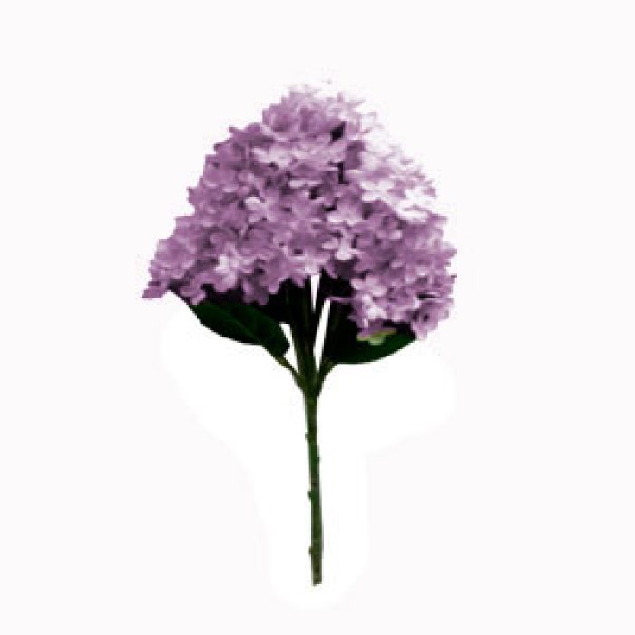 Ramo de hortensias lilas - Galerías el Triunfo - 022032746071