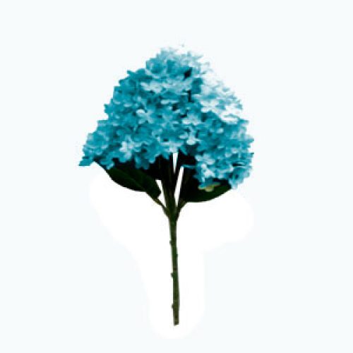 Ramo de hortensias azules - Galerías el Triunfo - 022032746072