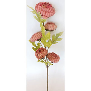 Vara de 5 flores - Galerías el Triunfo - 022032746142