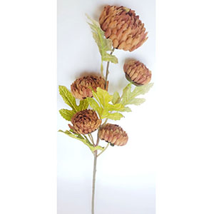 Vara de 5 flores - Galerías el Triunfo - 022032746144