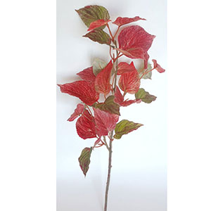 Vara de hojas - Galerías el Triunfo - 022032746161