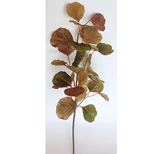 Vara de hojas verde - Galerías el Triunfo - 022032746165