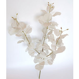Vara de hojas blancas - Galerías el Triunfo - 022032746186