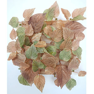 Tapete de hojas artificiales - Galerías el Triunfo - 022032746201