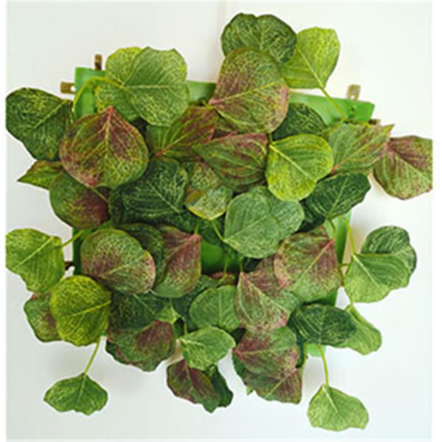 Tapete de hojas verdes - Galerías el Triunfo - 022032746205