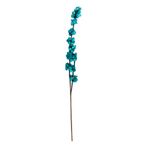 Vara desértica azul - Galerías el Triunfo - 024071028149