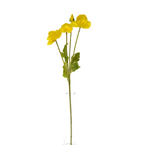 Flor de amapola color - Galerías el Triunfo - 025072097048