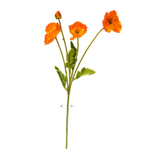 Flor de amapola color - Galerías el Triunfo - 025072097049