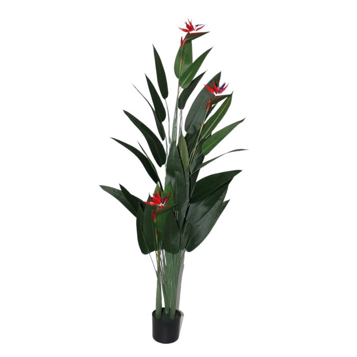 Planta de Ave del - Galerías el Triunfo - 025072097075