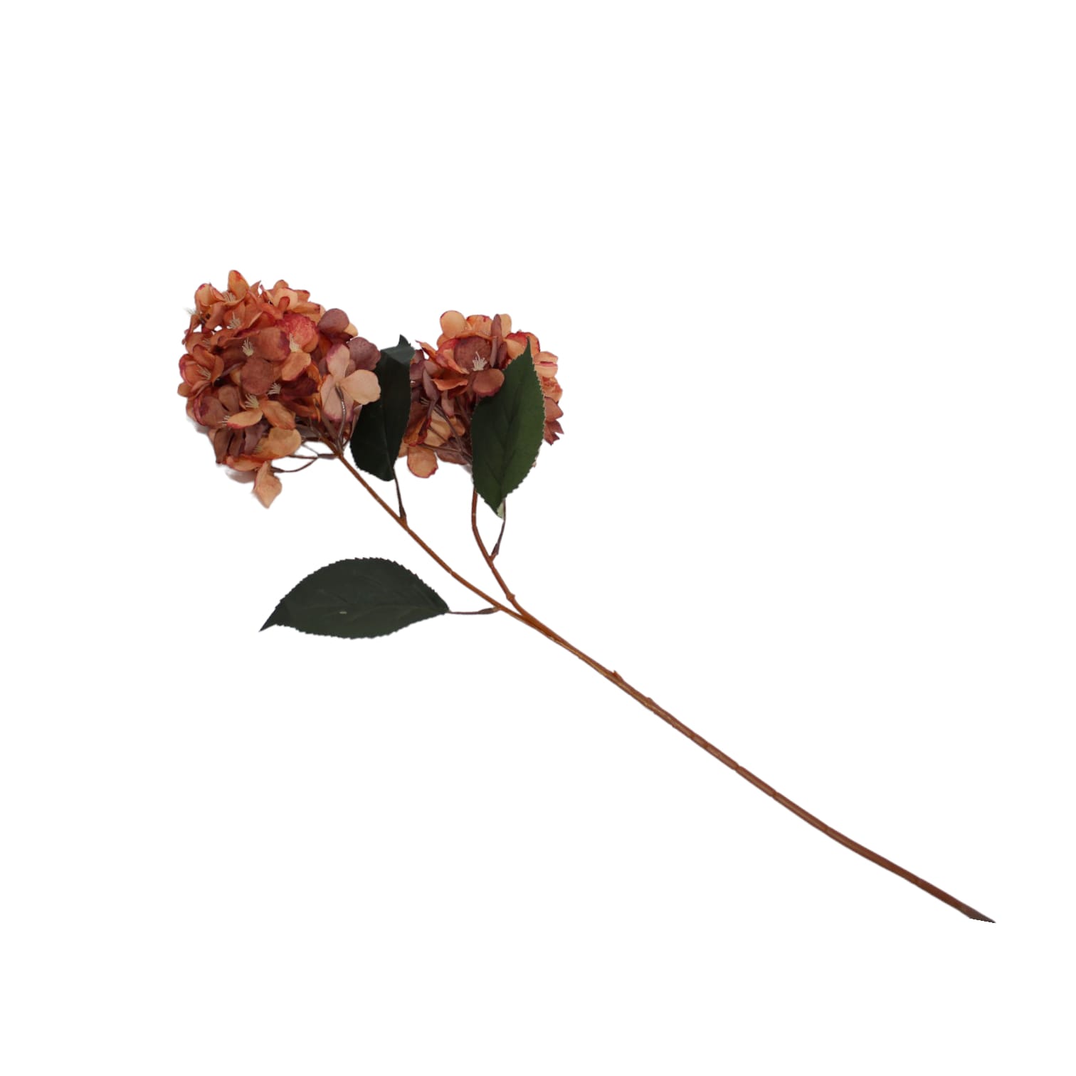 Flores con 2 hortensias - Galerías el Triunfo - 025072097090