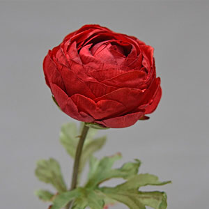 Flor de camelia seca - Galerías el Triunfo - 025072097095