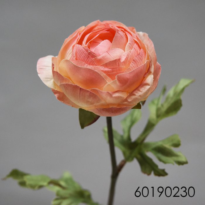 Flor de camelia seca - Galerías el Triunfo - 025072097097