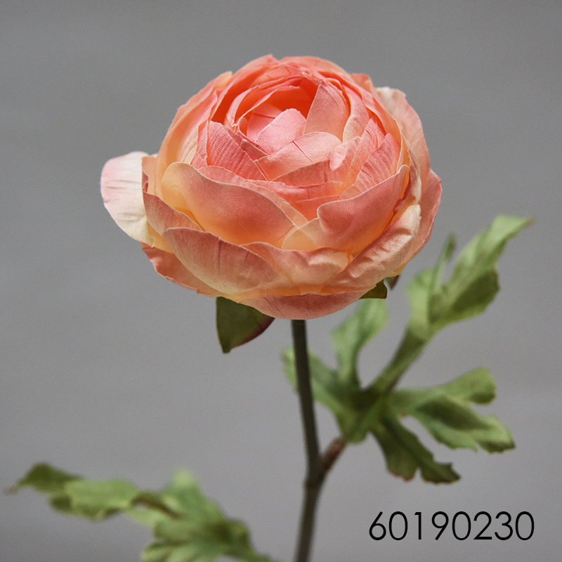 Flor de camelia seca - Galerías el Triunfo - 025072097097