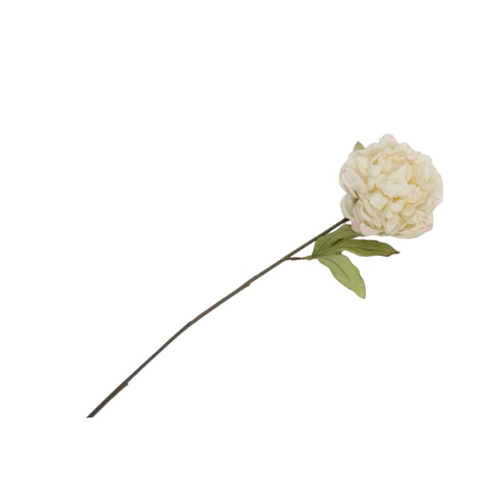 Flor de peonía seca - Galerías el Triunfo - 025072097101