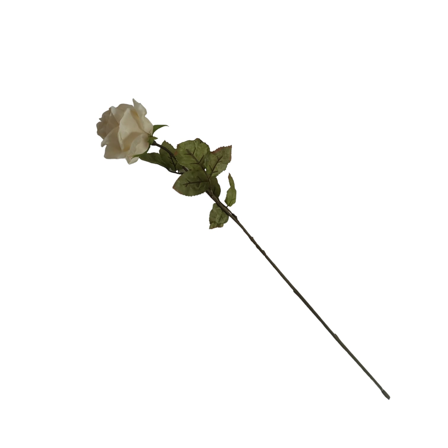 Flores secas de - Galerías el Triunfo - 025072097103