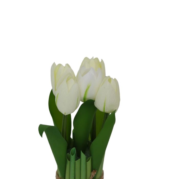 Ramo de 9 tulipanes - Image 2