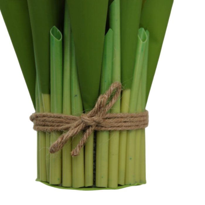 Ramo de 9 tulipanes - Image 3