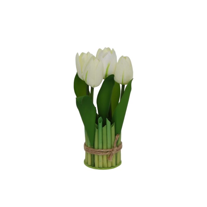Ramo de 9 tulipanes - Galerías el Triunfo - 025072097121
