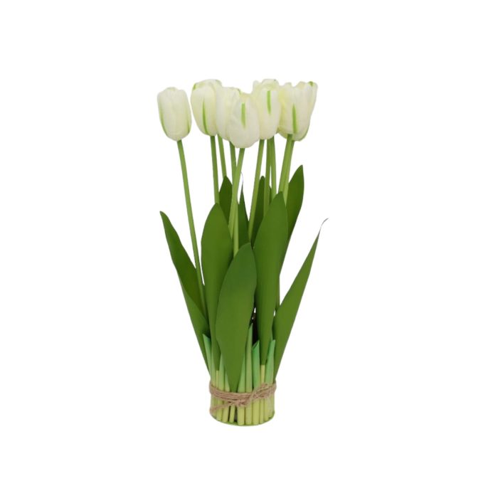 Ramo de 10 tulipanes - Galerías el Triunfo - 025072097132