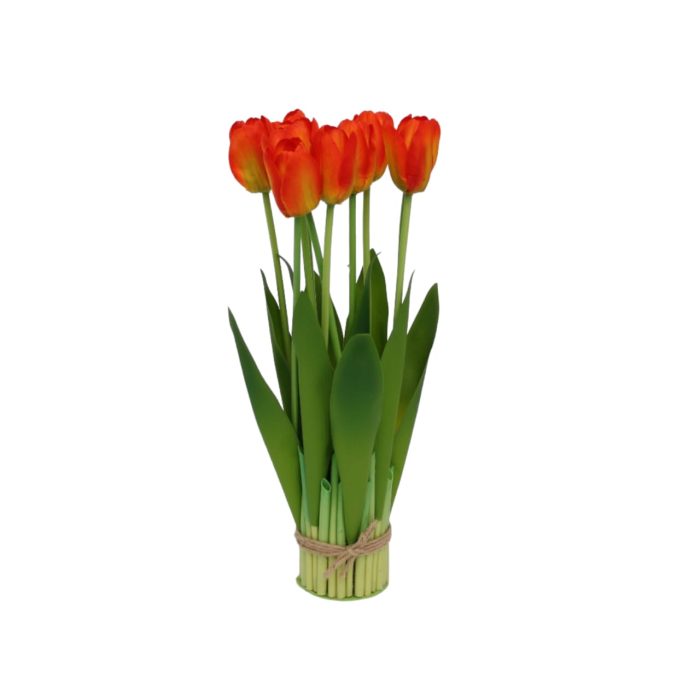 Ramo de 10 tulipanes - Galerías el Triunfo - 025072097134