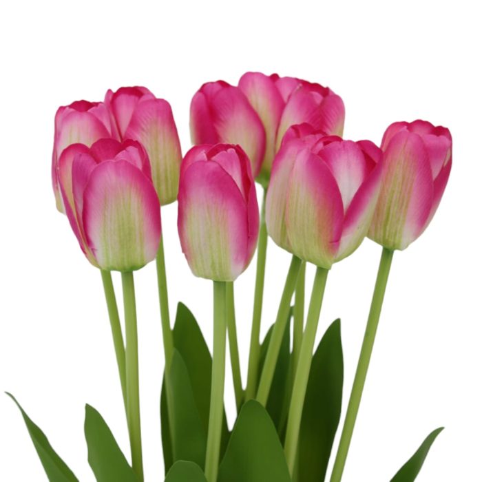 Ramo de 10 tulipanes - Image 2