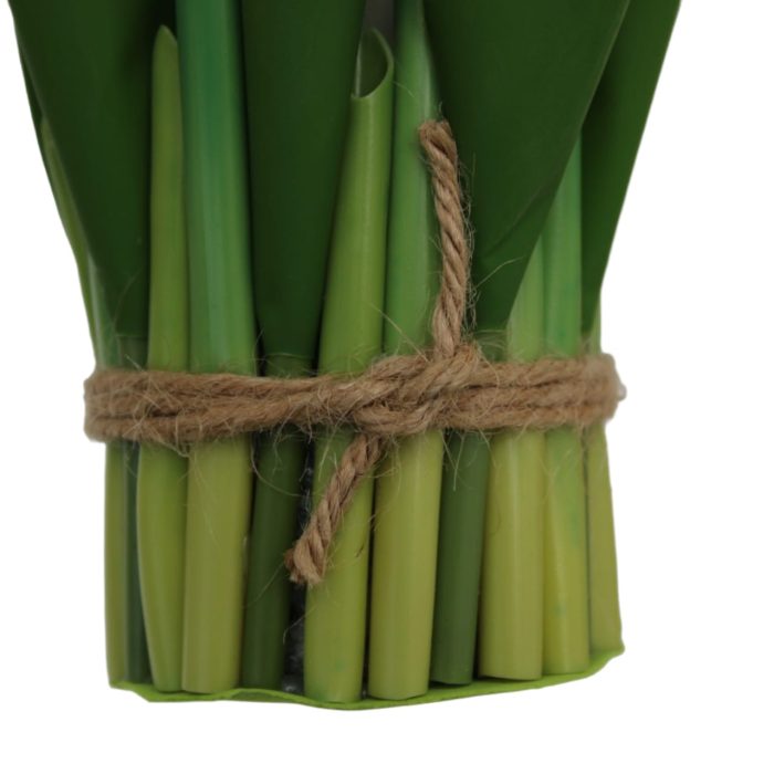 Ramo de 10 tulipanes - Image 3