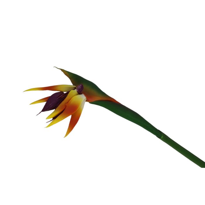 Flor de Ave del - Image 2