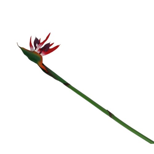 Flor de Ave del - Galerías el Triunfo - 025072097147