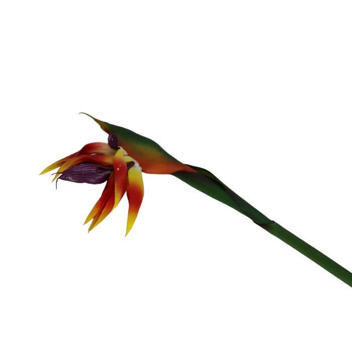 Flor de Ave del - Image 2