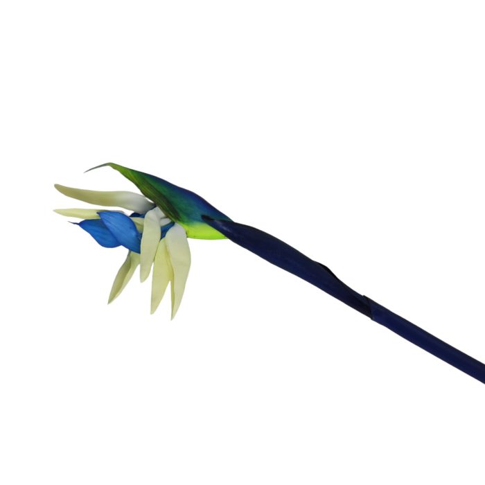 Flor de Ave del - Image 2