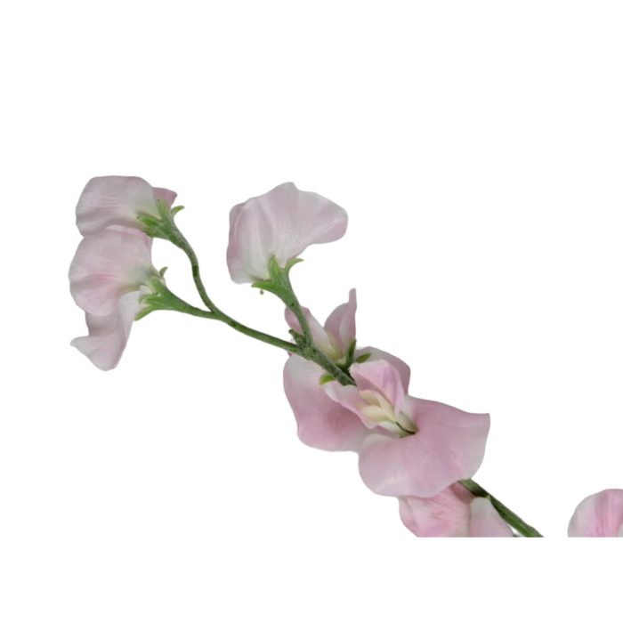 Flores rosas de 10x10x64 - Image 2